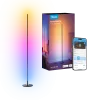 Govee RGBICW Smart Floor Lamp Basic